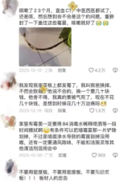 标题：持续咳嗽，病因成谜，直至发现黑霉潜伏厕所——警惕，同样情况可能发生在你家